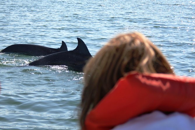 Wild Dolphin Encounter & Snorkeling Adventure - Value for Money in Puerto Vallarta (Is It Worth It?)