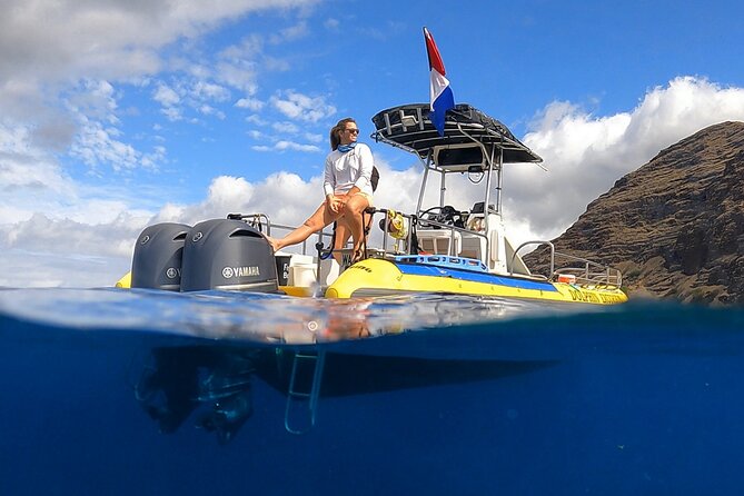 Wild Dolphin Watching and Snorkel Safari Off West Coast of Oahu - Key reasons this West Oahu tour works