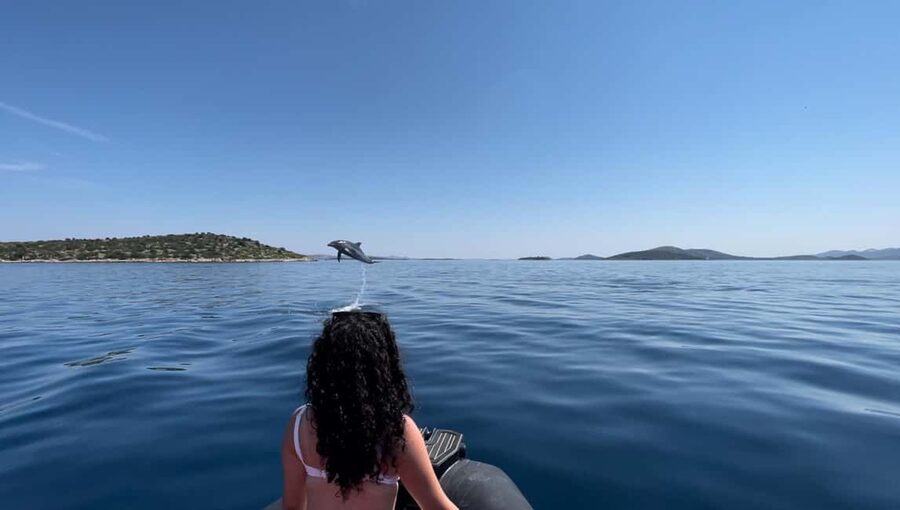 Zadar: 3-Island Speedboat Tour with Snorkeling and Drinks - Key Things To Know Before You Go