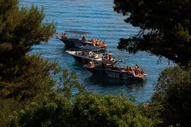 Zadar: 3 Islands Luxury Boat Tour with Aperol Spritz & Snorkeling - Snorkeling Reality Check: Gear, Water Access, and Fish Expectations