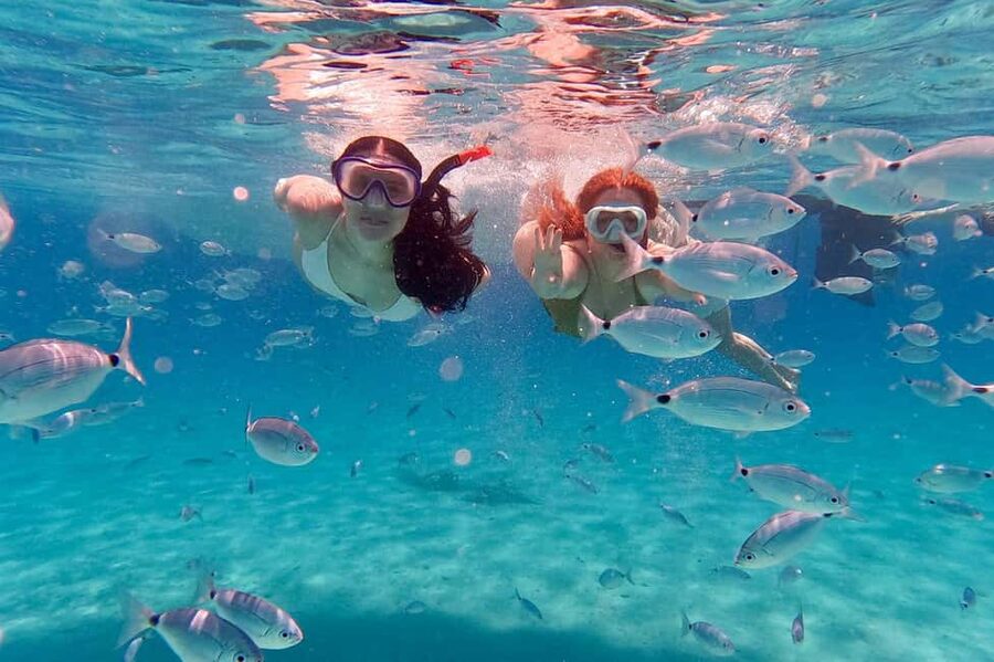 Zadar: Dugi Otok Island Discovery Day Trip with Snorkeling - Veli Žal Beach and the Off-Route Swim Stops