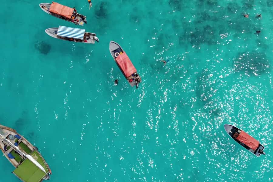 Zanzibar: Mnemba Island Dolphin and Snorkeling Tour - Swimming with dolphins: thrilling, but weather and boat traffic decide the moment