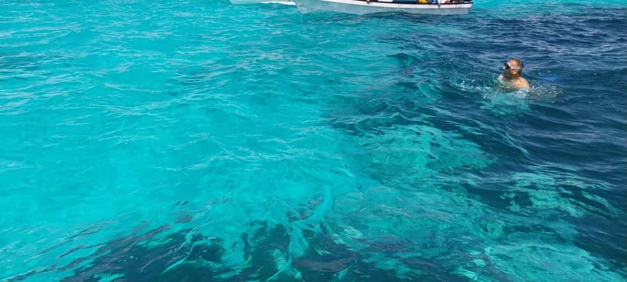 Zanzibar: Mnemba Island Dolphin and Snorkeling Tour - Price and value check: what $40 covers, and what might come up
