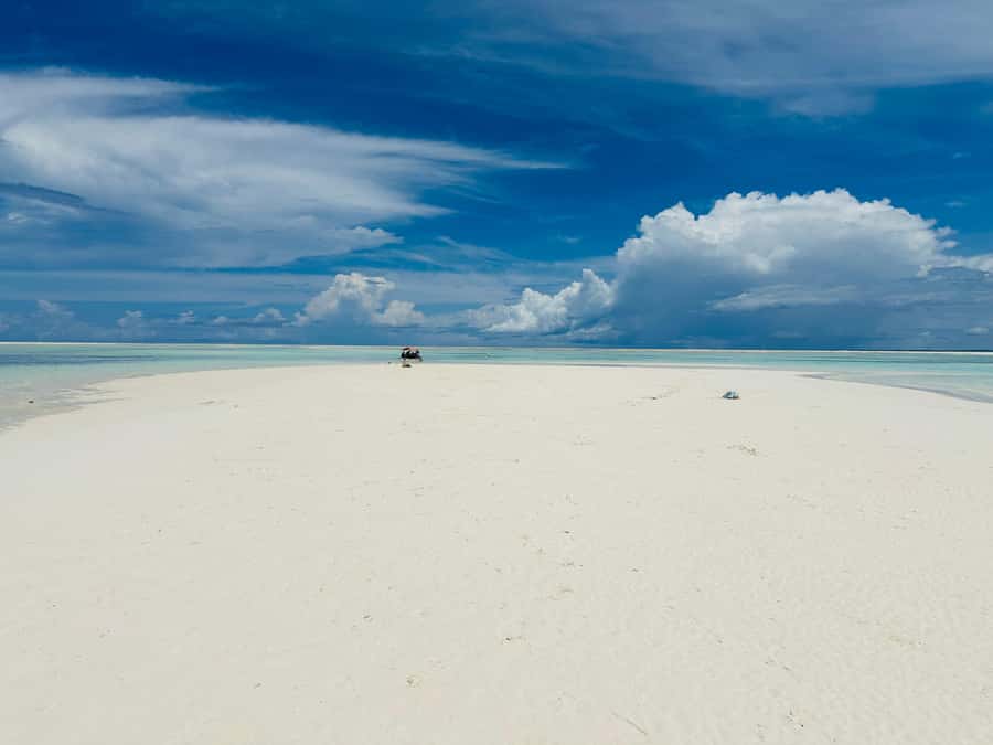 Zanzibar: Mnemba Island Dolphin and Snorkeling Tour - Who this tour suits best (and who should sit this one out)