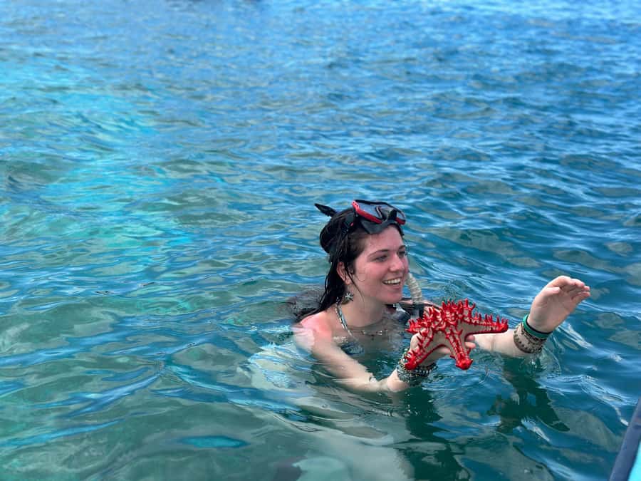 Zanzibar: Mnemba Island Dolphin and Snorkeling Tour - The dolphin-spotting reality: how to maximize your chances