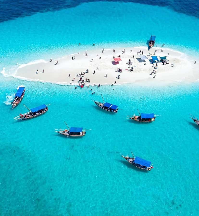 Zanzibar: Safari Blue Lagoon Trip with Snorkeling and Lunch - Key highlights you’ll actually care about