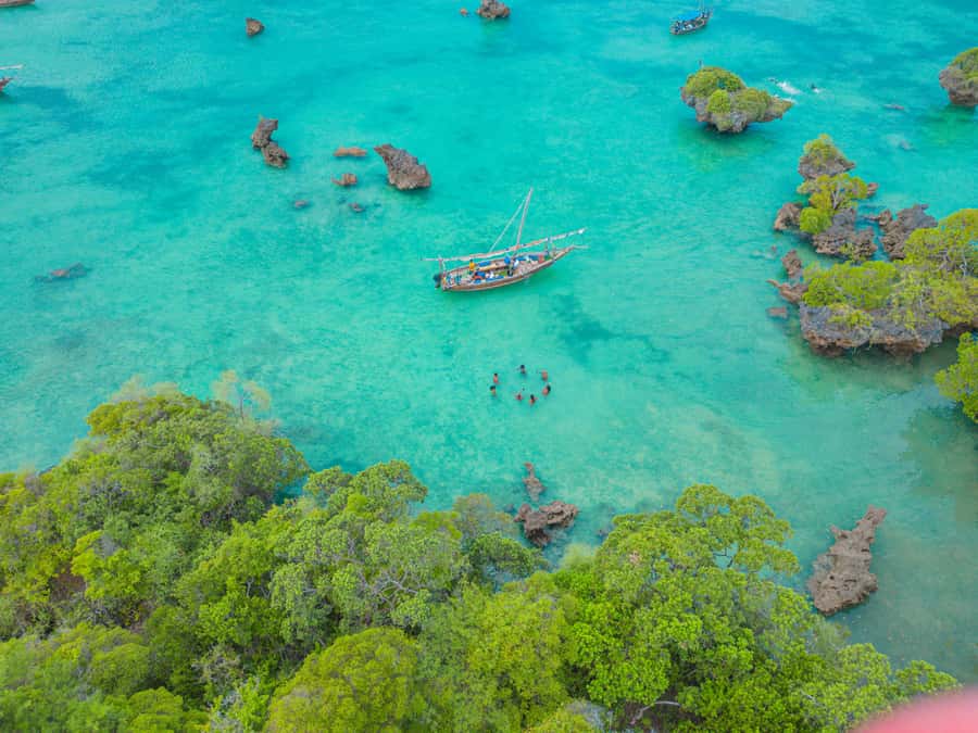 Zanzibar: Safari Blue Lagoon Trip with Snorkeling and Lunch - Timing and logistics: how the day stays fun instead of exhausting